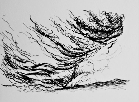 Nuage 2 - encre sur papier - 20 cm x 14 cm.