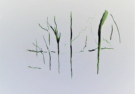 Surprise 1 - encre verte sur papier - 20 cm x 14 cm.