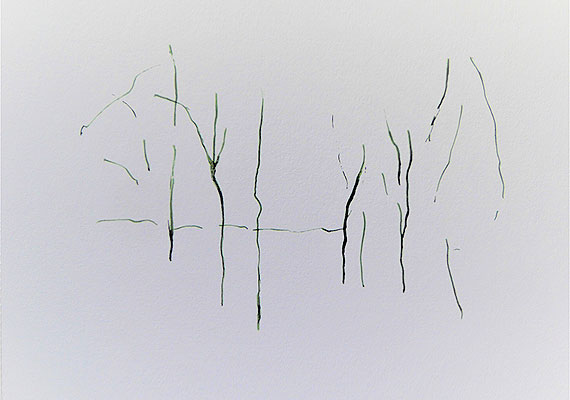 Surprise 2 - encre verte sur papier - 20 cm x 14 cm.