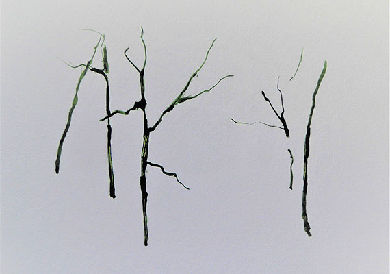 Surprise 3 - encre verte sur papier - 20 cm x 14 cm.