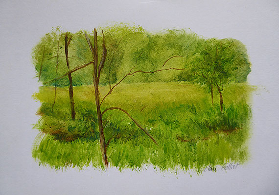 Paysage huile sur papier 11 - 16 cm x 11 cm.