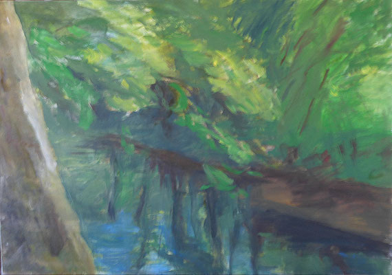 Paysage sur toile 5 - Berge 73 cm x 59 cm.